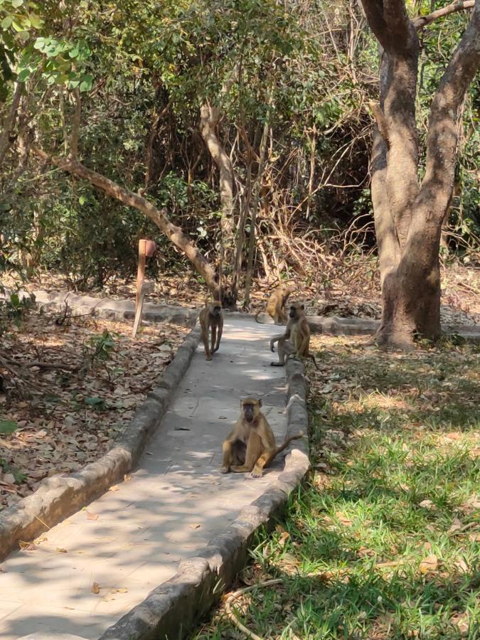 Selous Kinga Lodge Kwangwazi Экстерьер фото